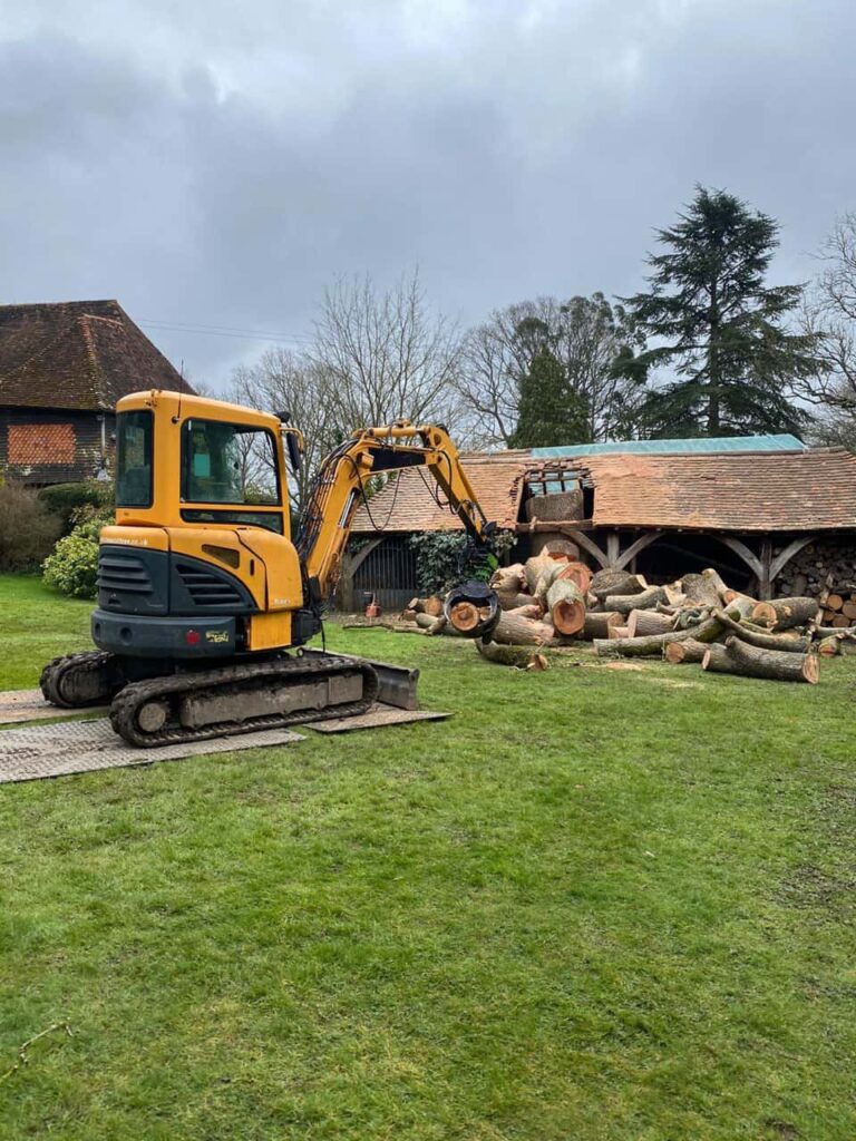 This is a photo of a tree which has grown through the roof of a barn that is being cut down and removed. There is a digger that is removing sections of the tree as well. East Bridgford Tree Surgeons