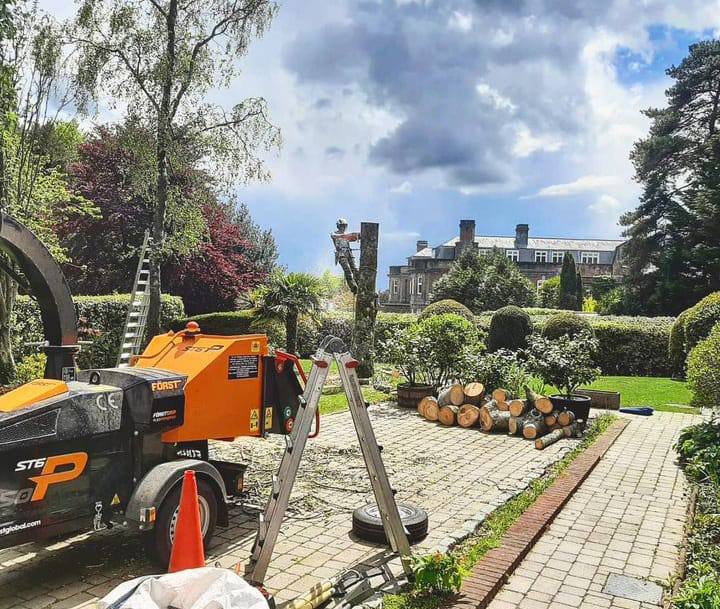 This is a photo of a tree being felled. A tree surgeon is currently removing the last section, the logs are stacked in a pile. East Bridgford Tree Surgeons